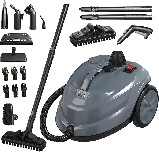 Home Steam Cleaners