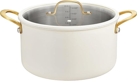 BEZIA 10 Quart Stainless Steel Stock Pot, Large Soup Pot, Casserole with Lid, Stockpot with Visible Lid, Silicone Edging, Sturdy & Double Handle, Induction Cooking Pot for Pasta, Soup, Spaghetti