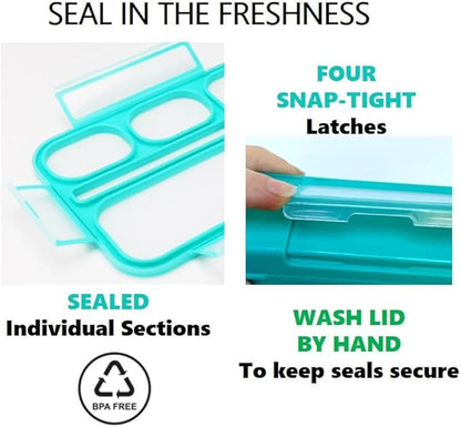 Bento Box Lunch-Box with Bag and Ice Pack, Insulated Lunch Bag and Snack Container Set for Kids Boys Girls Adults. 6 Compartments, Divided Portion Containers, Boxes for School Lunches, Teal