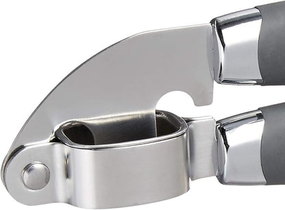 Tovolo Garlic Press Stainless Steel Mincer and Crusher Squeeze Silicone Comfort Grip, Dishwasher Safe, Removable Chamber for Easy Clean, One Charcoal