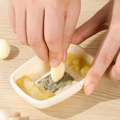 Stainless Steel Ginger Garlic Grater Handheld Kitchen Tool for Easy Mincing and Grating of Ginger Garlic Fruits and Vegetables