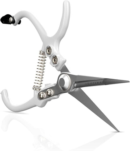 Plant Pruning Shears Garden Trimming Scissors Precision Hand Pruner Herb Snips Flower Clippers Bonsai Trimmers Straight Sharp Blade Tapered Tip Ergonomic Handle Modern Garden Tools