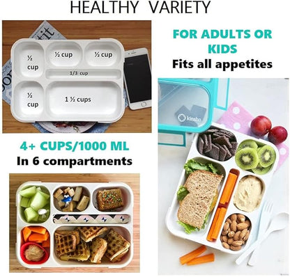Bento Box Lunch-Box with Bag and Ice Pack, Insulated Lunch Bag and Snack Container Set for Kids Boys Girls Adults. 6 Compartments, Divided Portion Containers, Boxes for School Lunches, Teal