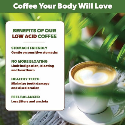 Low Acid Organic Coffee – Whole Bean, Mold-Free & Stomach Friendly by Java Planet, Good Morning Blend Coffee, Medium Roast, Smooth Full Flavored, 1LB Bag