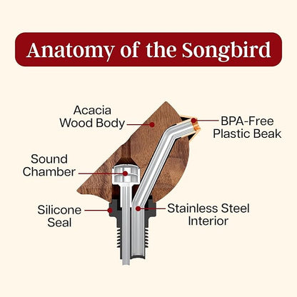 Songbird Specialties Wine Bottle Pourer, Fun Wine Pourer Spout Sings While It Pours, Airtight Wine Bottle Sealer, Acacia Wood with Turquoise Wings