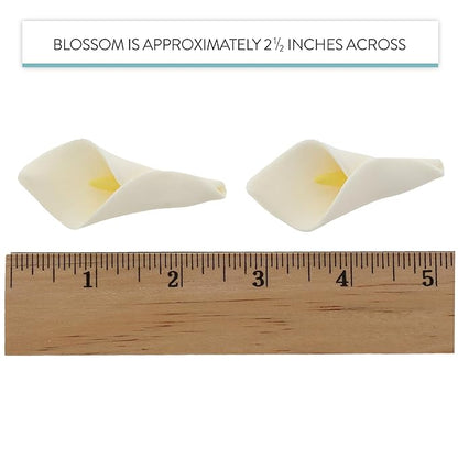 Global Sugar Art Calla Lily Sugar Cake Flowers White with Yellow, Unwired, Medium 18 Count by Chef Alan Tetreault