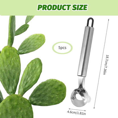 5 PCS Cactus Peeler Tool, Multifunctional Cactus Peeling Knife Tool, 7.48x1.81in Ergonomic Design, Easy to Clean, Suitable for Cooking Cactus Noodles in the Kitchen