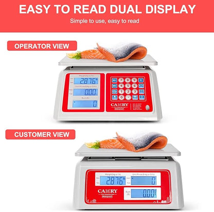 CAMRY Waterproof Commercial Food Scale IPX7 66lb / 30kg Digital Price Computing Meat Produce Weight Scale with White Backlight LCD for Farmers Market, Seafood, Rechargeable