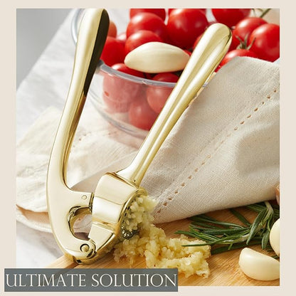 Kitessensu High Effective Garlic Press With Studs, Heavy Duty Garlic Mincer, Easy to Squeeze and Clean, Rust Proof & Dishwasher Safe, Ginger Crusher - Golden