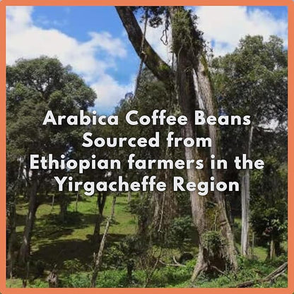 Café Grumpy Ethiopia Yirgacheffe Single Origin Whole Coffee Beans, 12 oz Bag Farm to Table Medium Roast, French Press Pour Over Cold Brew Drip