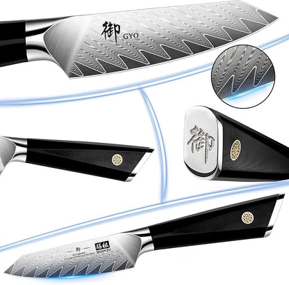 SHAN ZU Damascus Paring Knife Fruit Knife 4 Inch Professional Kitchen Knives, Japanese Damascus High Carbon Steel 67-Layer Fruit Carving Knives with G10 Handle/Gift Box