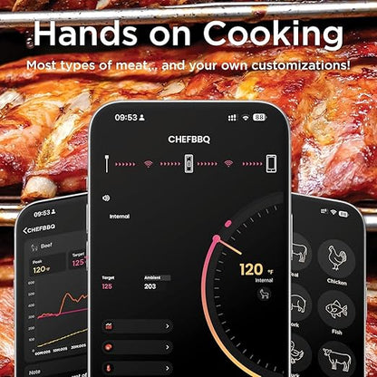 Wireless Meat Thermometer with Digital Meat Probe, Measures Internal & Ambient Temp, 800FT Bluetooth Meat Thermometer with Host Control for Barbecue, Outdoor Grilling, Oven & Smoker (Black)