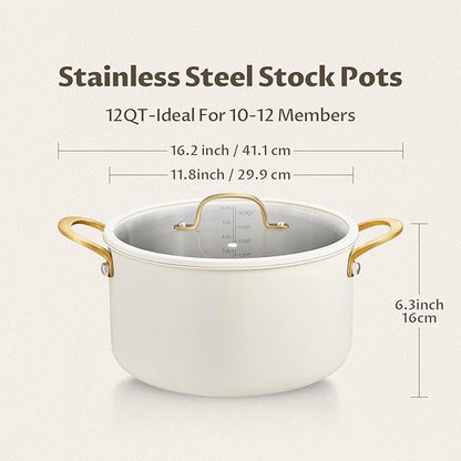 BEZIA Large Stainless Steel Stock Pot, 12 Quart Large Cooking Pot with Lid, Casserole with Lid, Even Heat Distribution, Induction Compatible Soup Pot, Ideal for Stews, Simmering & Soups