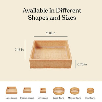 Cambie Medium Square Vanilla Tart Shells, 55mm (2.16") Diameter, French Style Tart Shells, White Chocolate Coating, Pack of 40