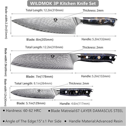 WILDMOK Damascus Kitchen Knife Sets 3 PCS, Japanese Kitchen Knife Set Damascus Steel Core, Ultra-Sharp Professional Chef Knife Set and Full Handle, Gift Box