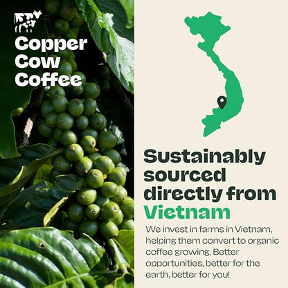 Copper Cow Premium Vietnamese Whole Bean Coffee, 12 OZ | Organic Classic | Dark Roast | Vietnamese Coffee