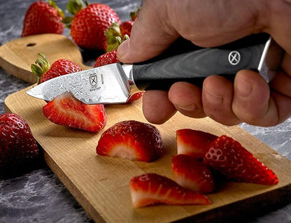 Mercer Culinary M13791 Premium Grade Super Steel, 3.5-Inch Paring Knife, G10 Handle