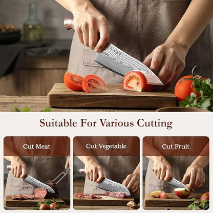 HEZHEN Damascus Chef Knife Set, 67 Layers Damascus Steel, 5PCS, Ultra Sharp, Professional Kitchen Knife Set for Chefs and Home Cooking, Ergonomic Micarta Handle, Gift Packing