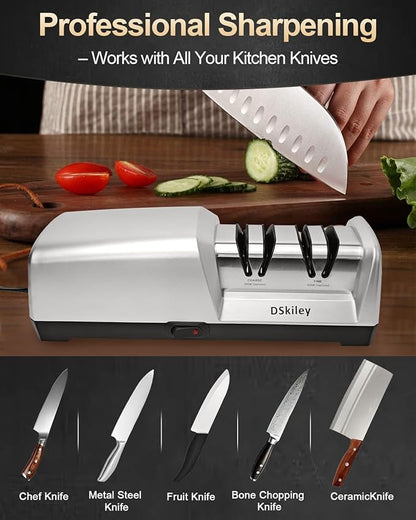 Professional 3-stage Electric Knife Sharpener for Kitchen Knives, with 100% Diamond Abrasive 20° Precision Angle Guide, Quickly Sharpening, Repairing/Restoring/Polish Blades (2-Stage Silver)