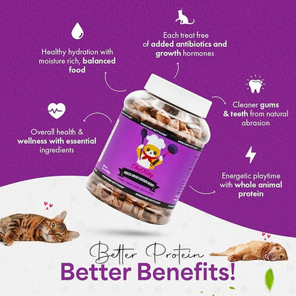 Freeze-Dried Chicken Heart Treats for Cats & Dogs – 100% Human Grade, Single Ingredient, High-Protein, Healthy Snack – No Additives or Preservatives – 2.6oz - Inspected & Tested in USA