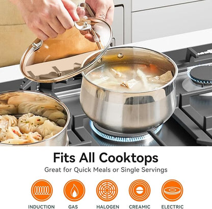 WANGYUANJI 2.5-Quart Stainless Steel Saucepan with Steamer Basket, 2-in-1 Pot & Steamer, Tri-Ply Base, Tempered Glass Lid, Induction Compatible
