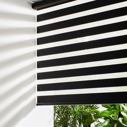 Persilux Cordless Zebra Blinds for Windows Roller Windows Shades (72" W X 72" H,Black) Dual Layer Light Control Light Filtering Sheer Shades for Home