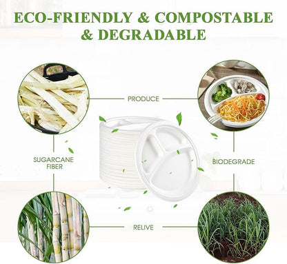 Vplus 100% Compostable Paper Plates, 500 Pack 10 Inch 3 Compartment Plates Disposable, Heavy Duty Biodegradable, Made of Sugar Cane Fibers, for Daily meals, Dinner, Parties, BBQ