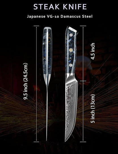 Steak Knives Set of 4, Ultra Sharp Non Serrated Kitchen Steak Knife 5 Inch - Damascus Steel & Resin Handle - Xuan Series (Starry Black)