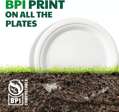 100% Compostable Paper Plates, 6 Inch, 125 Count, Heavy Duty Disposable Plates by Biodegradable Bagasse, Dessert Plates Bulk for Party | Microwave-Safe | Soak-Resistant, Cut Resistant