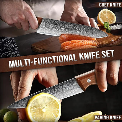 DRAGON RIOT Damascus Chef Knife Set, 2pcs VG10 Professional Kitchen Knife Set, Ultra Sharp Blade & Ergonomic Wooden Handle, Full Tang Forged Damascus Steel Kitchen Cooking Knife Set with Gift Box