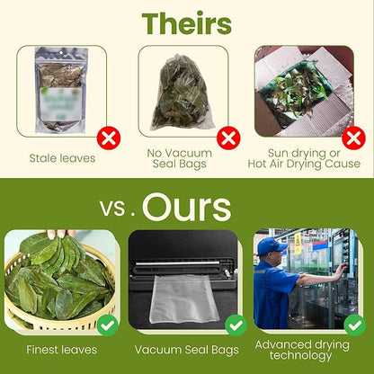 TROPICAL TEAHOUSE 250+ Soursop Dried Leaves, 3oz Premium Graviola Leaves, 100% Pure Guanabana Leaves, Handpicked, Gluten Free, Caffeine Free, Sugar-Free