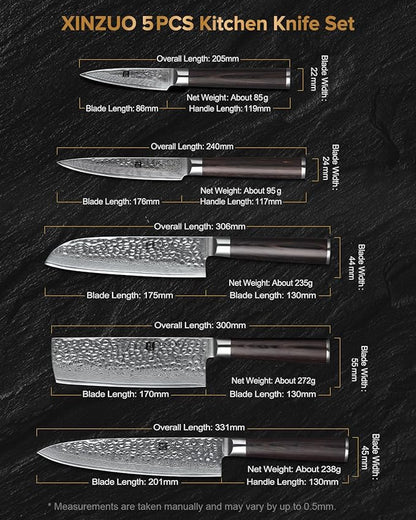 XINZUO Kitchen Cutting Knife Set of 5 Piece,67 Layers Hammered Damascus Blade,Razor Sharp Japanese-Style Chef Knife Set with Pakkawood Handle,Gift Box