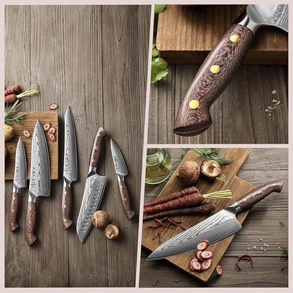HEZHEN Damascus Chef Knife Set, 67 Layers Damascus Steel, 5PCS, Ultra Sharp, Professional Kitchen Knife Set for Chefs and Home Cooking, Ergonomic Micarta Handle, Gift Packing