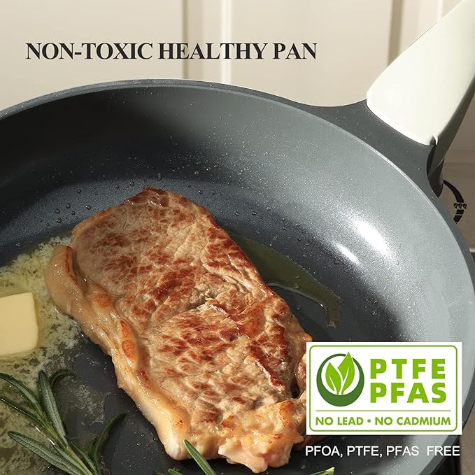 PRICUSIS Nonstick Ceramic Frying Pan with Lid, Non Toxic Skillet, Healthy Egg & Omelet & Chef's Skillet, PTFE PFOA & PFAS Free, Induction Compatible. (10Inch W/L)