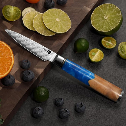 Classic Paring Knife 3.5 Inch, Japanese VG10 Steel Damascus Fruit Knife, Sharp Small Kitchen Knife with Gift Box and Resin Wood Handle,Ideal Birthday Gift for Men and Women