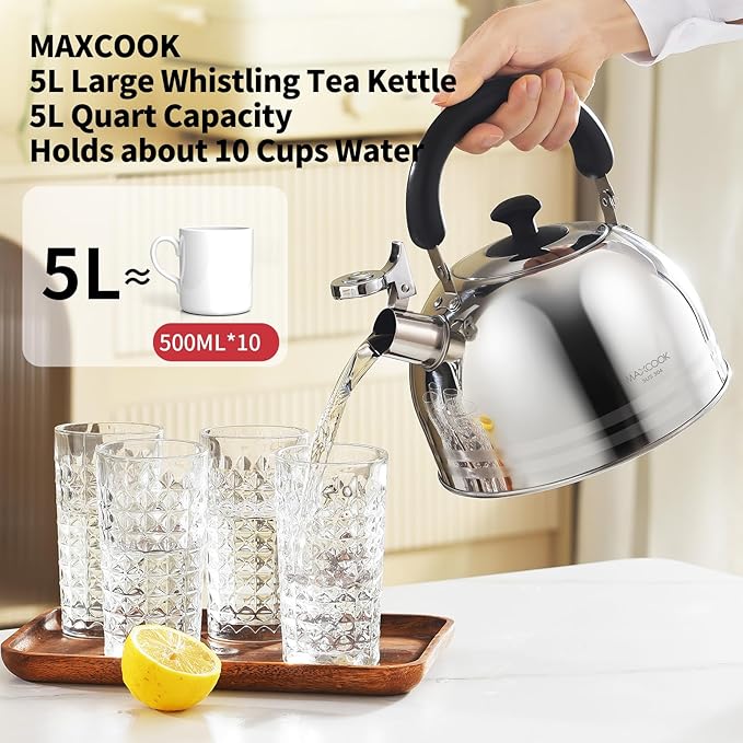 Whistling Tea Kettle for Stovetop, 5L Stainless Steel Tea pot Kettles,Striped frosted water pot, Large kettle teapot with Cool Touch Ergonomic Handle(Mirror Polish)