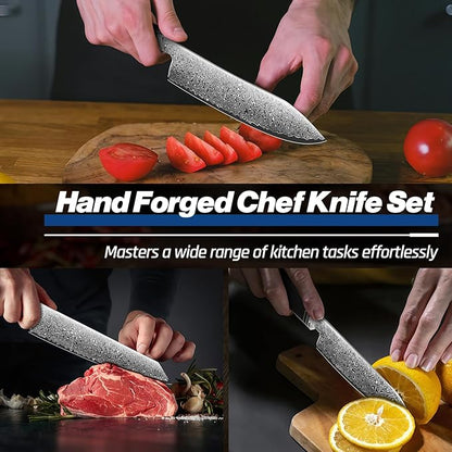 Huusk Damascus Kitchen Knife Set - 3 PCS Chef Knife Set Professional, Razor Sharp 67 Layers Damascus Japanese Knives Set for Kitchen with Wood Handle, Ideal Gift for Dad