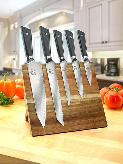 Mercer Culinary Premium Grade Super Steel 6-Piece Knife Set with Magnetic Acacia Stand, G10 Handles