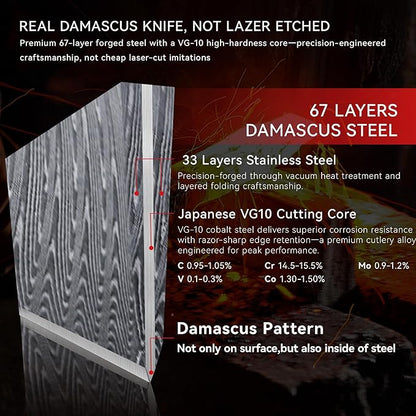 8" Chef's Knife, Japanese Damascus Chefs Knife 67 Layers High Carbon VG10 Steel Core with Wood Ergonomic Handle, Gift Box