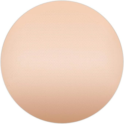 Filter for use in AeroPress Go/AeroPress Coffee Makers (Superfine) - Premium Replacement Disc - Reusable Metal, Titanium Coated Stainless Steel. Upgrade Your Mesh or Filter Papers