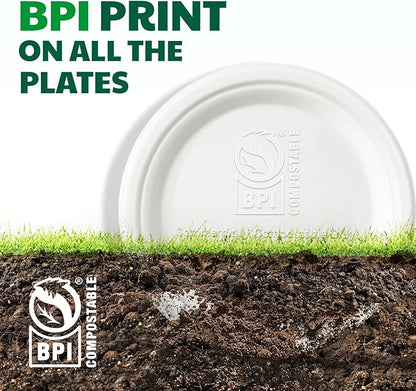 100% Compostable Paper Plates, 9 Inch, 125 Count, Biodegradable Bagasse Plates, Heavy Duty Disposable Plates Bulk for Party | Microwave-Safe | Soak-Resistant, Cut Resistant