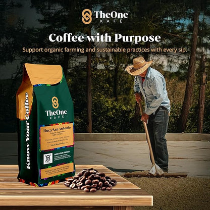 TheOne Kafé Guatemala Medium Roast Whole Bean Coffee – Organic, Single Origin, Premium Specialty Coffee, Ethically Sourced, Smooth & Rich Flavor – Fresh Roasted for Espresso, Drip, Pour Over – 12 oz