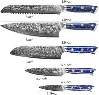 Chef Cooking Knives Set- Kitchen Knife Set of 5 Piece - Ultra-Sharp VG10 Damascus Steel & Resin Handle - Xuan Series (Sapphire Blue)