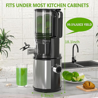 Cold Press Juicer – 6.5" Extra Large Feed Chute Fit Hands-Free Electric Masticating Juicer Machine, 350W Slow Masticating Juicer Machine for Whole Fruit and Vegetables – Easy Cleanup & Assembly