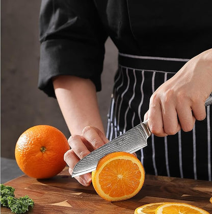Wakoli EDIS 6-Piece Damascus Chef Knives | Japanese Style Professional Kitchen Knife Set with VG10 Core & Ergonomic Pakkawood Handles in Gift Box