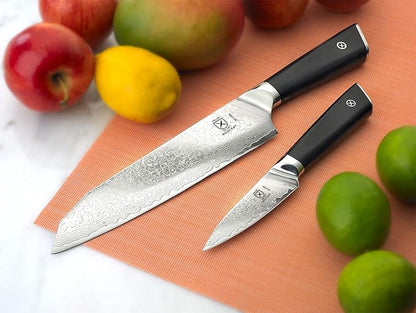 Mercer Culinary Premium Grade Super Steel 7-Inch Santoku and 3.5-Inch Paring Knife Set, G10 Handles