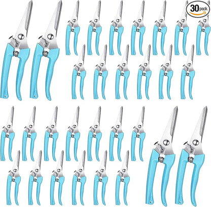 Chumia 30 Pcs Garden Flower Shears Pruning Scissors Heavy Duty Plant Scissors Trimming Garden Clippers Hand Tree Pruner for Yard Gardening Plants Hedge Flower Tree Cutting Secateurs (Blue)