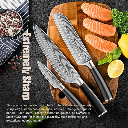 Sunnecko Damascus Knives Set,Japanese VG10 Core Steel Damascus 3PCS Chef Knife Set,Professional Razor Sharp Kitchen Knives Set with Knife Sharpner