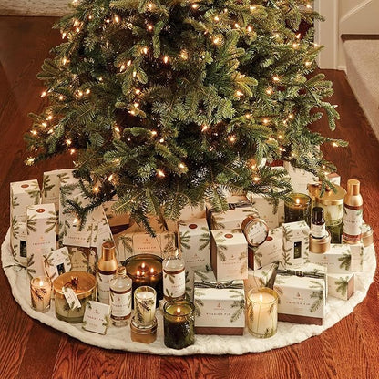 Thymes Frasier Fir Reed Diffuser Set – Includes Reeds, Fragrance Oil, and Frosted Glass Bottle – Fragrance Oil Diffuser – Room Fresheners – Luxury Home Decor – Green & Clear (Pine Needle, 7.75 fl oz)
