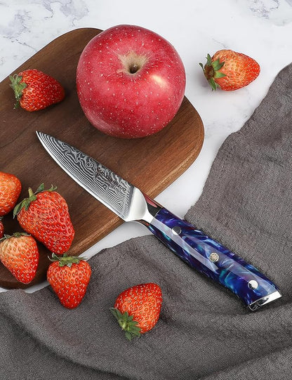 3.5 Inch Paring Knife - Kitchen Fruit Peeling Knife Damascus Steel & Resin Handle - Xuan Series(Sapphire Blue)